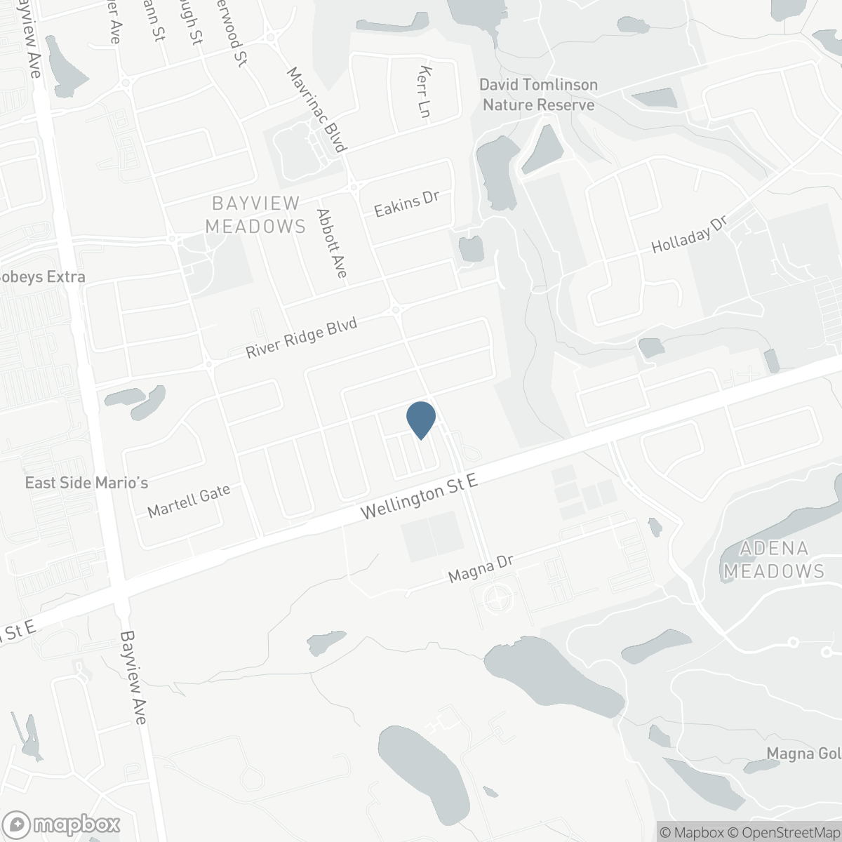 46 FISH DRIVE, Aurora, Ontario L4B 4A7